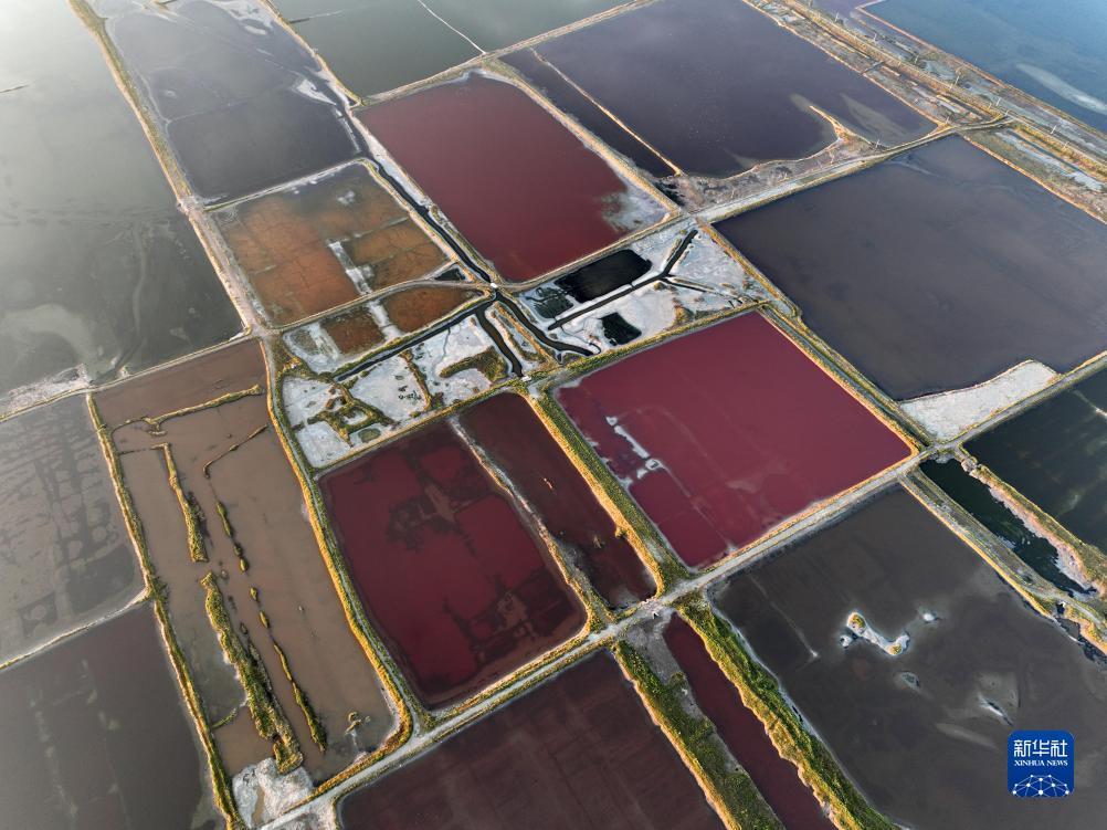 乐玩游戏官方下载